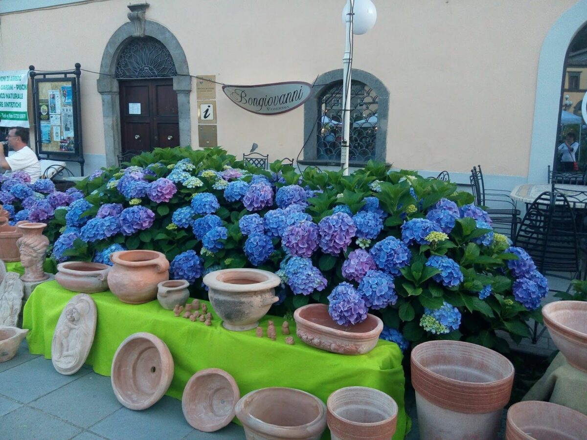 La Festa delle Ortensie a Bolsena dal 14 al 16 giugno