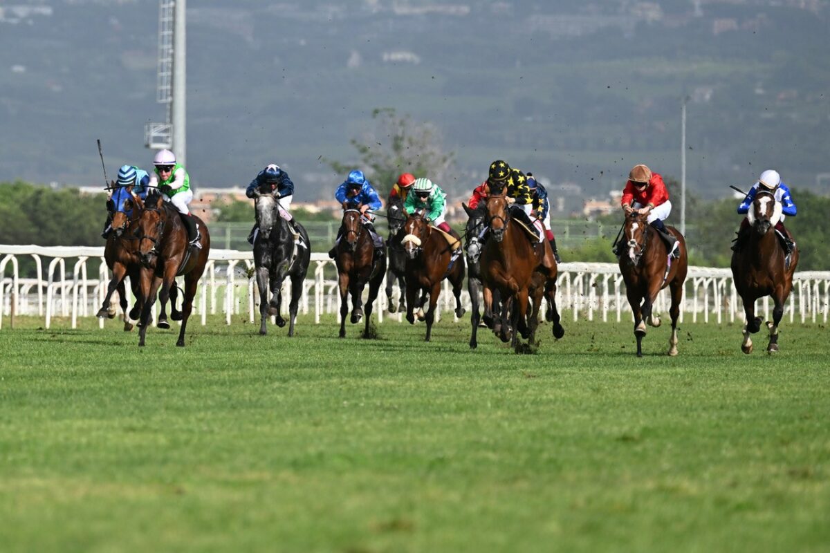Festa della Repubblica e gran finale di stagione all’Ippodromo Capannelle