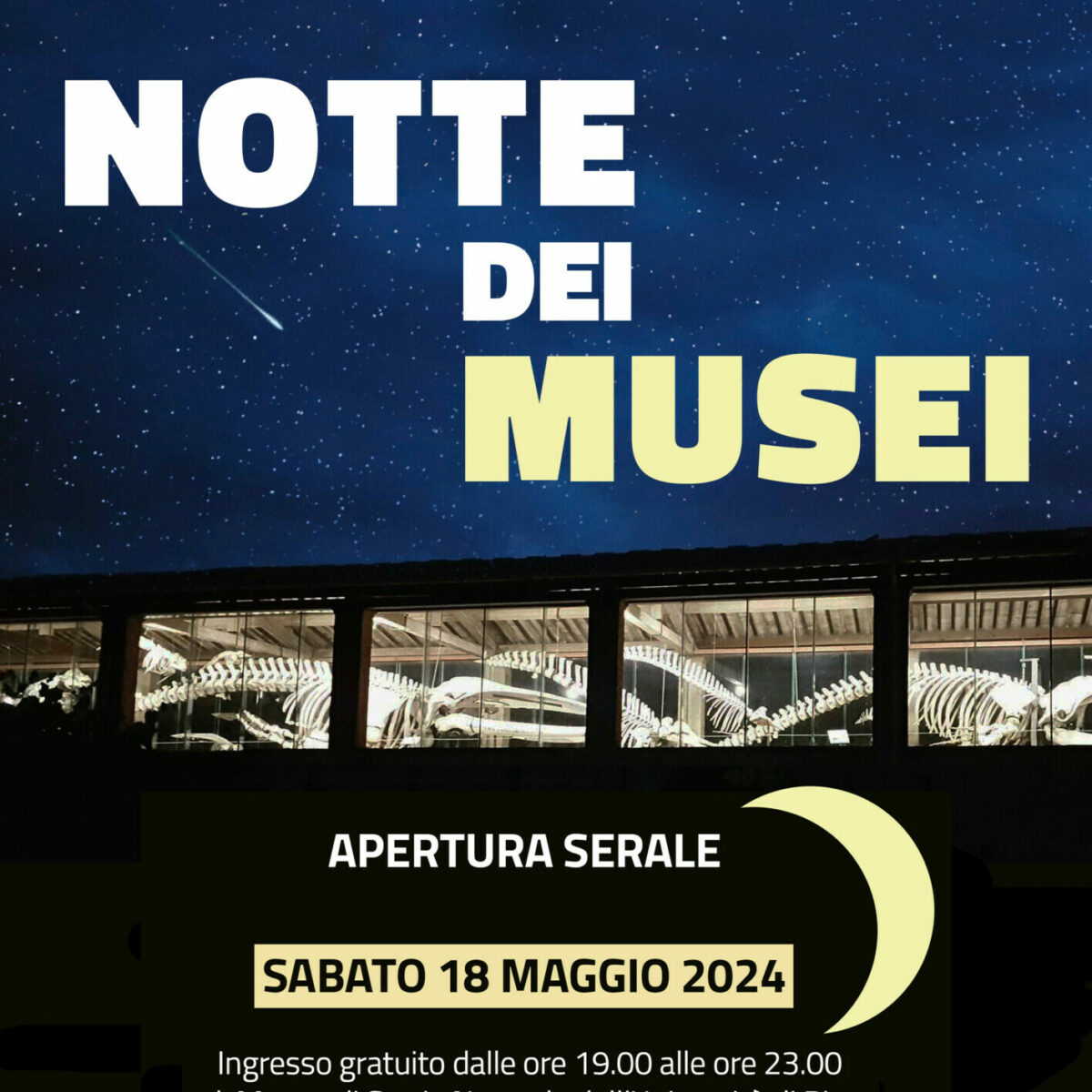 La Notte dei Musei 2024