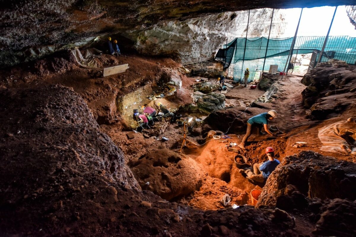 L’ultimo leone delle caverne d’Europa nella pietra a Grotta Romanelli