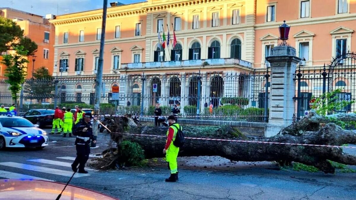 Viale del Policlinico chiuso