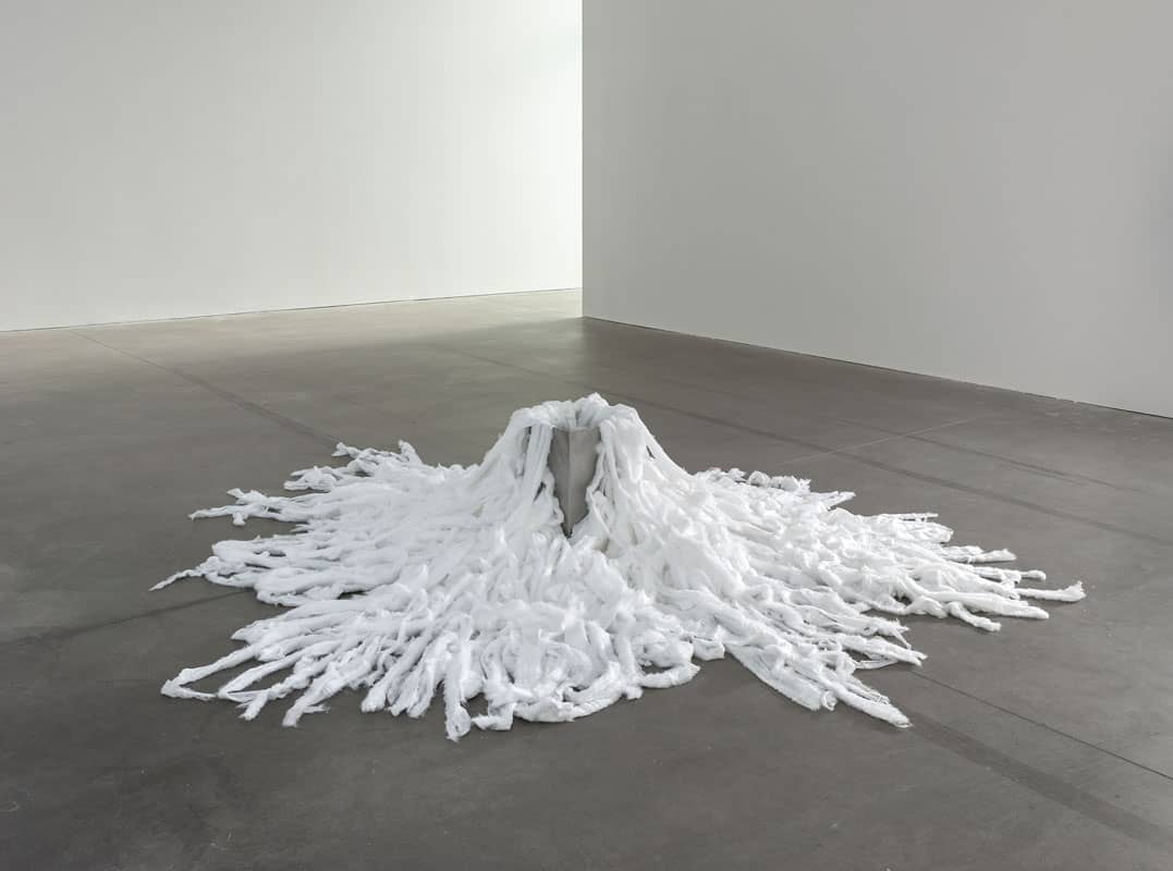 30 opere di Giovanni Anselmo
