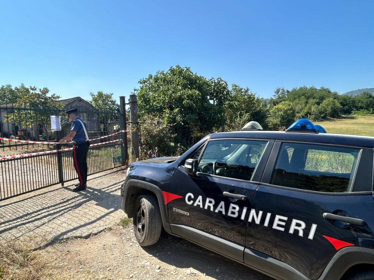 I militari dell’Aliquota Radiomobile di Colleferro in azione a Segni