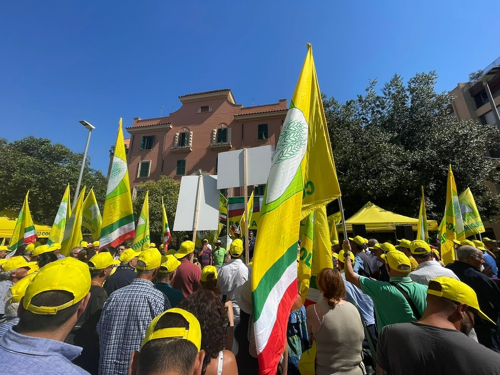 Piano straordinario di contenimento cinghiali della Regione Lazio