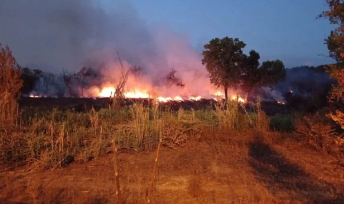 Maxi incendi a Ponte Mammolo