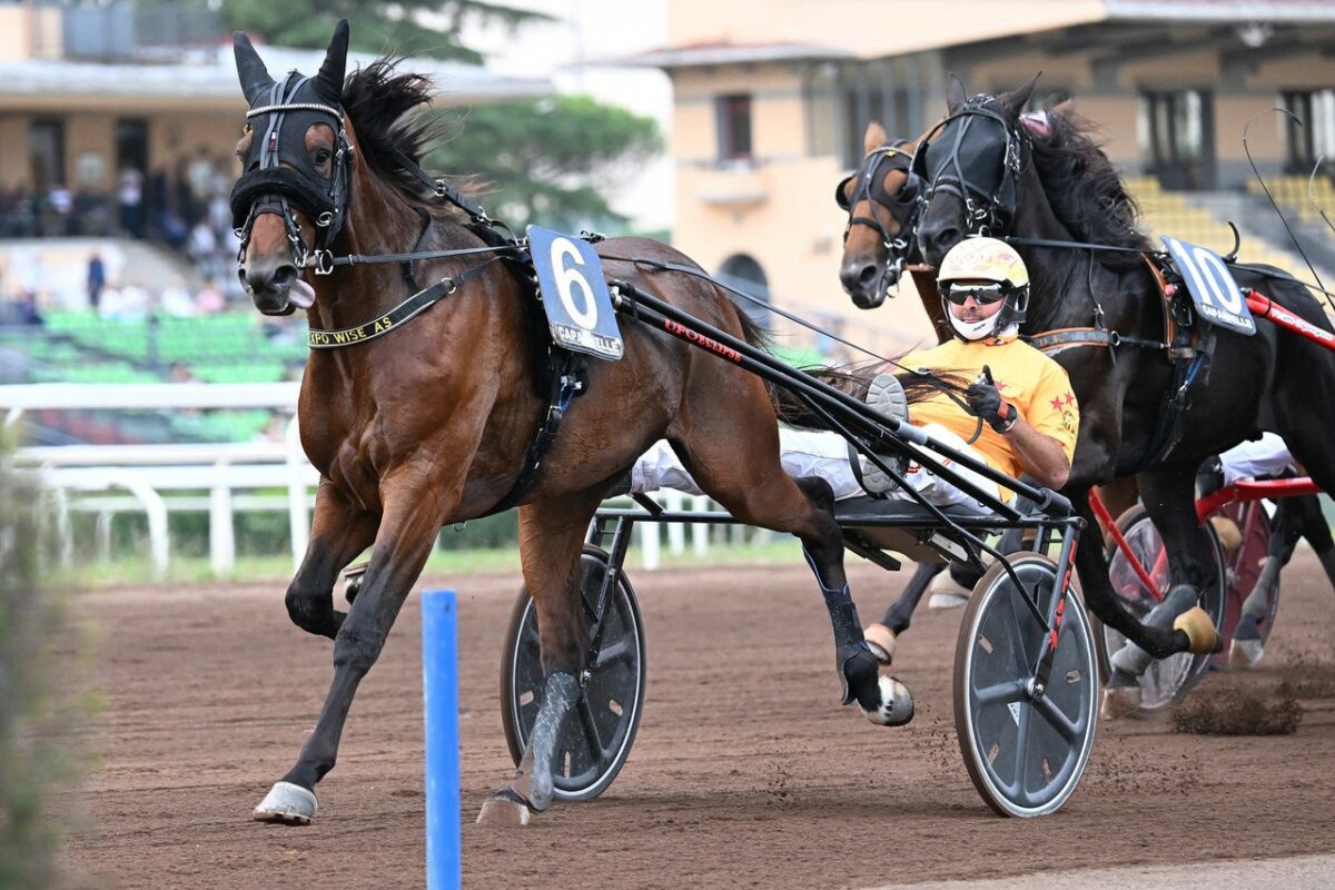 All’Ippodromo Capannelle le qualificazioni del 97° Derby del Trotto