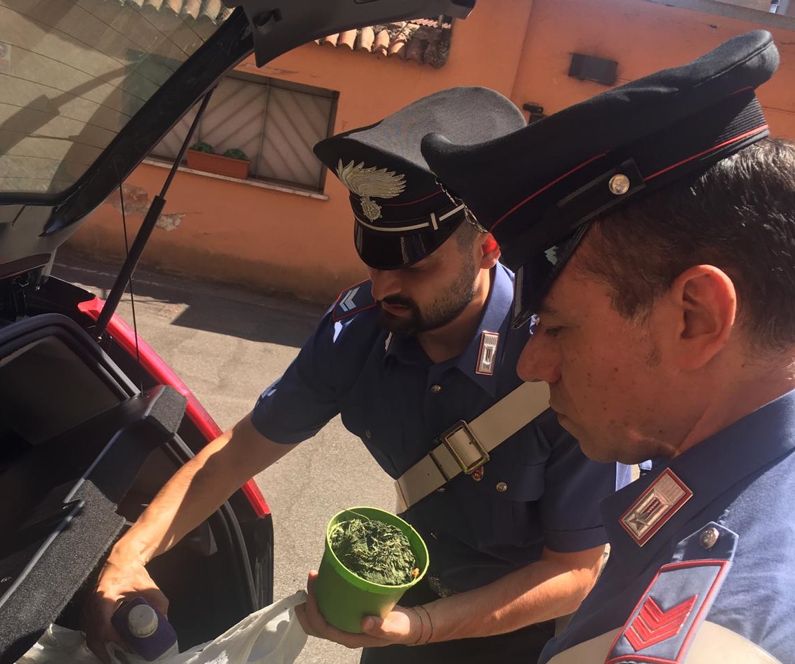 Operazione antidroga dei Carabinieri tra Primavalle e Montespaccato