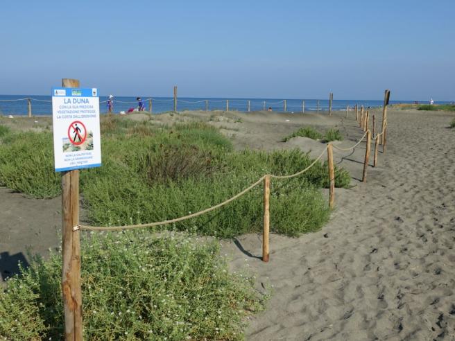 Lungomare Ostia parco dune
