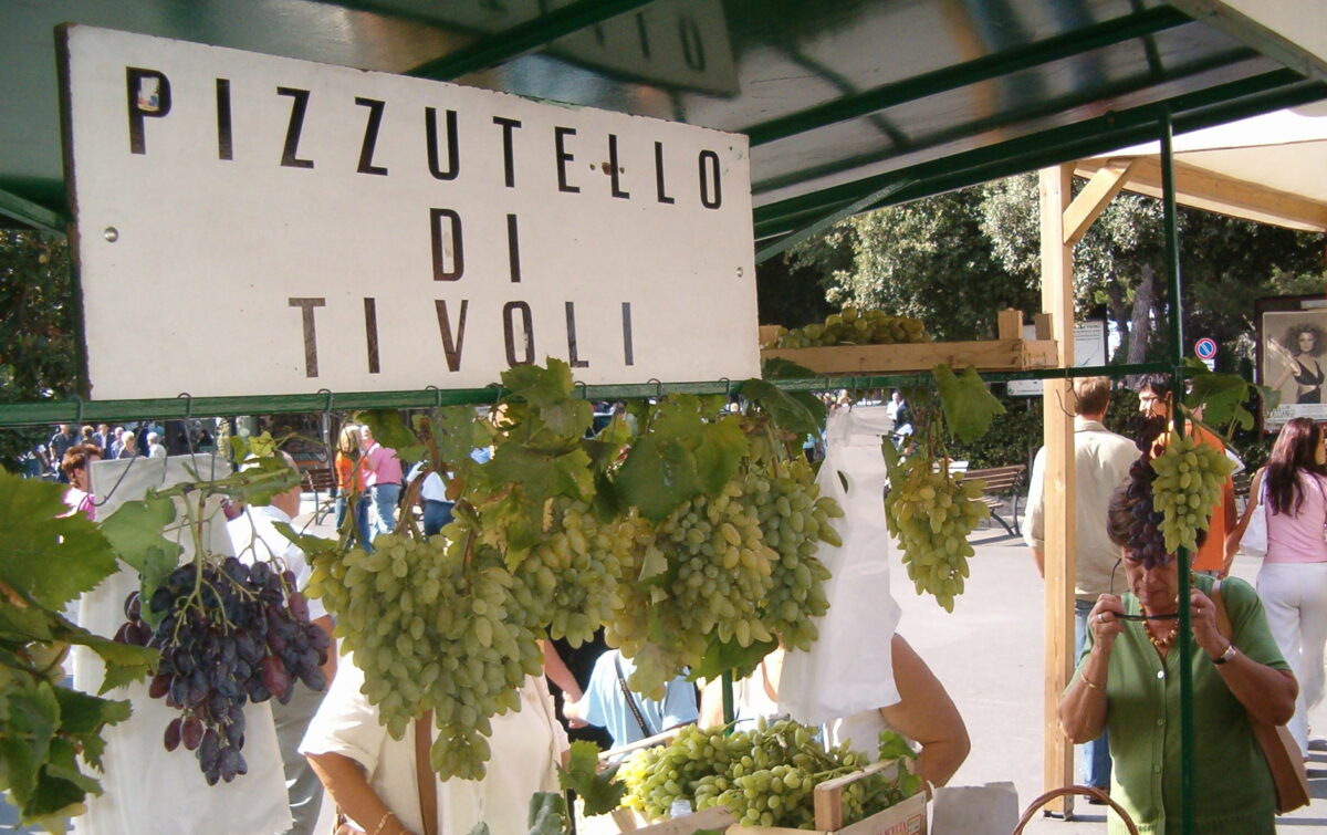Sagra del pizzutello a Tivoli