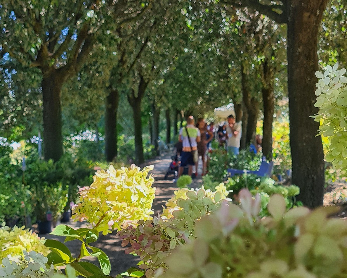 Verdi e Contenti al Centro Botanico Moutan di Vitorchiano