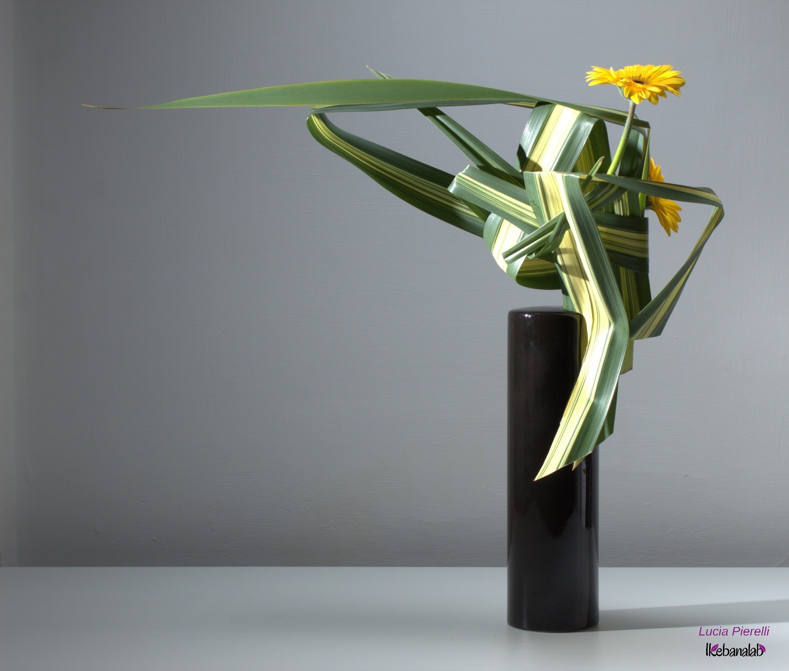 L'agenzia di comunicazione Cenacoli ospita una mostra d’Ikebana