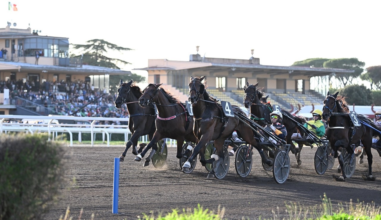 Il trotto torna domani all’Ippodromo Capannelle