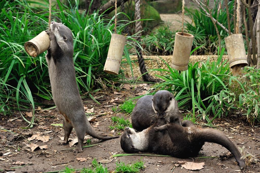 Dalla Fondazione Bioparco promozione speciale per residenti di Roma e Provincia