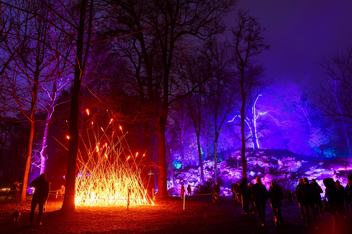 Trame di luce all'Orto Botanico dal 30 novembre