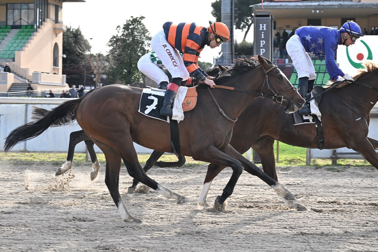 All Weather Christmas Day all'Ippodromo Capannelle