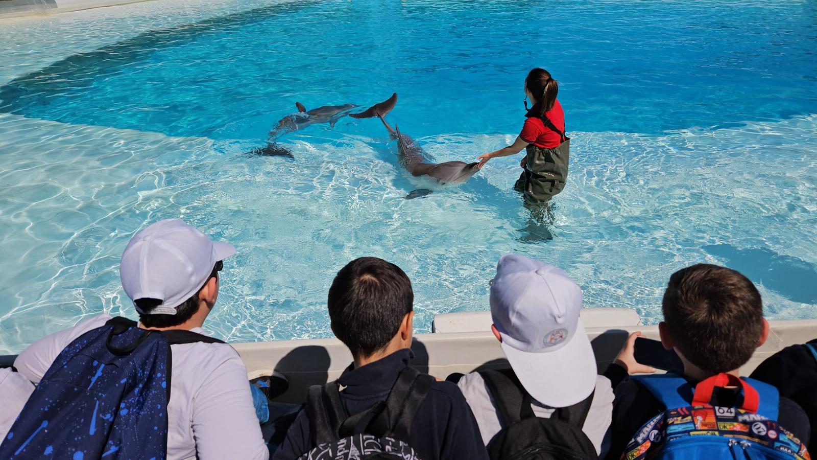 Un viaggio immersivo con Zoomarine per educare al rispetto degli animali