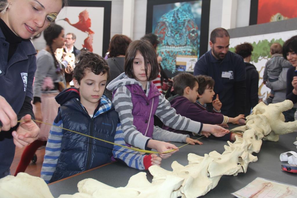 Darwin Day domenica 16 febbraio al Bioparco