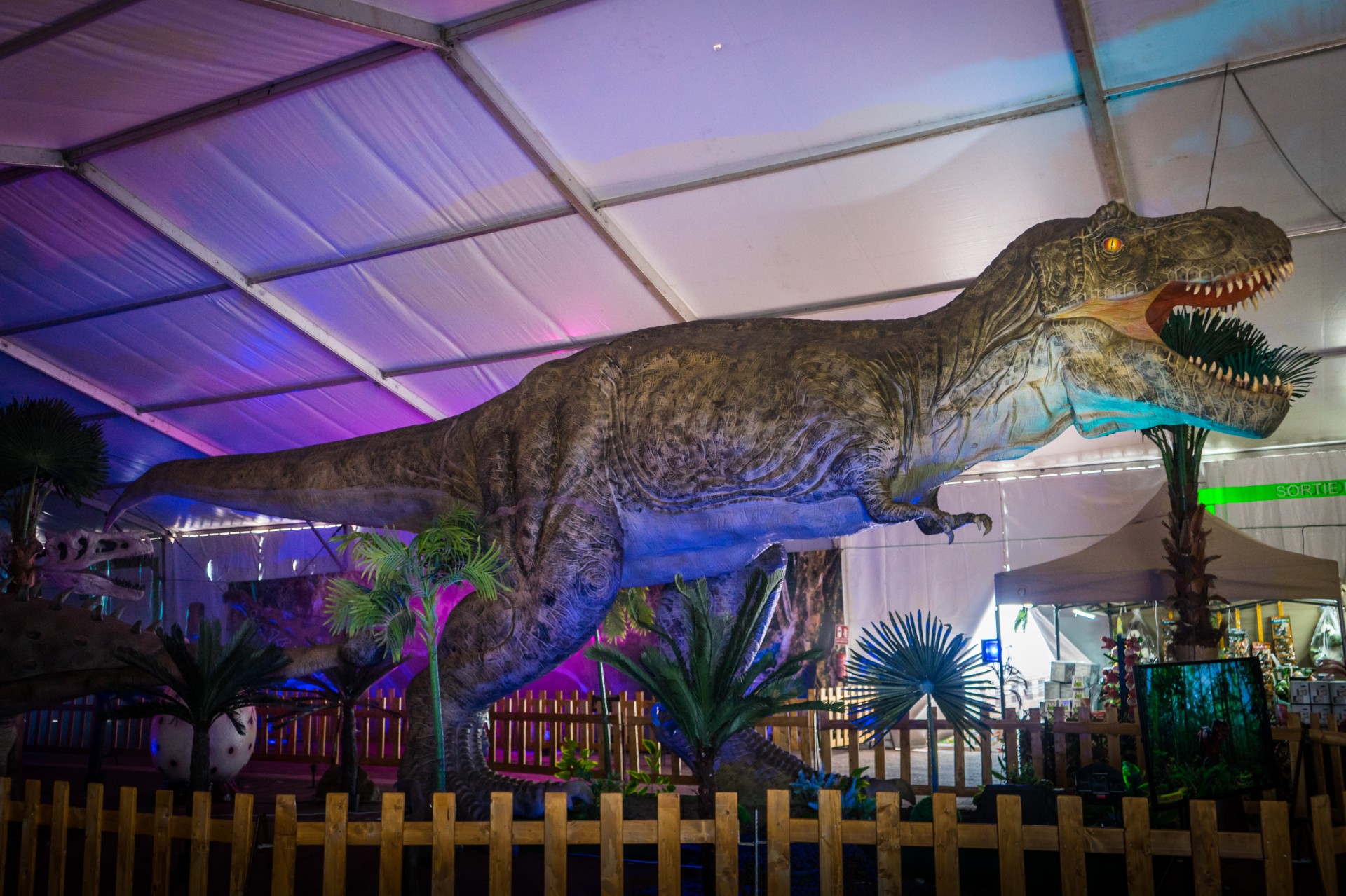 La tecnologia al servizio della Preistoria con Dinosaurs Live