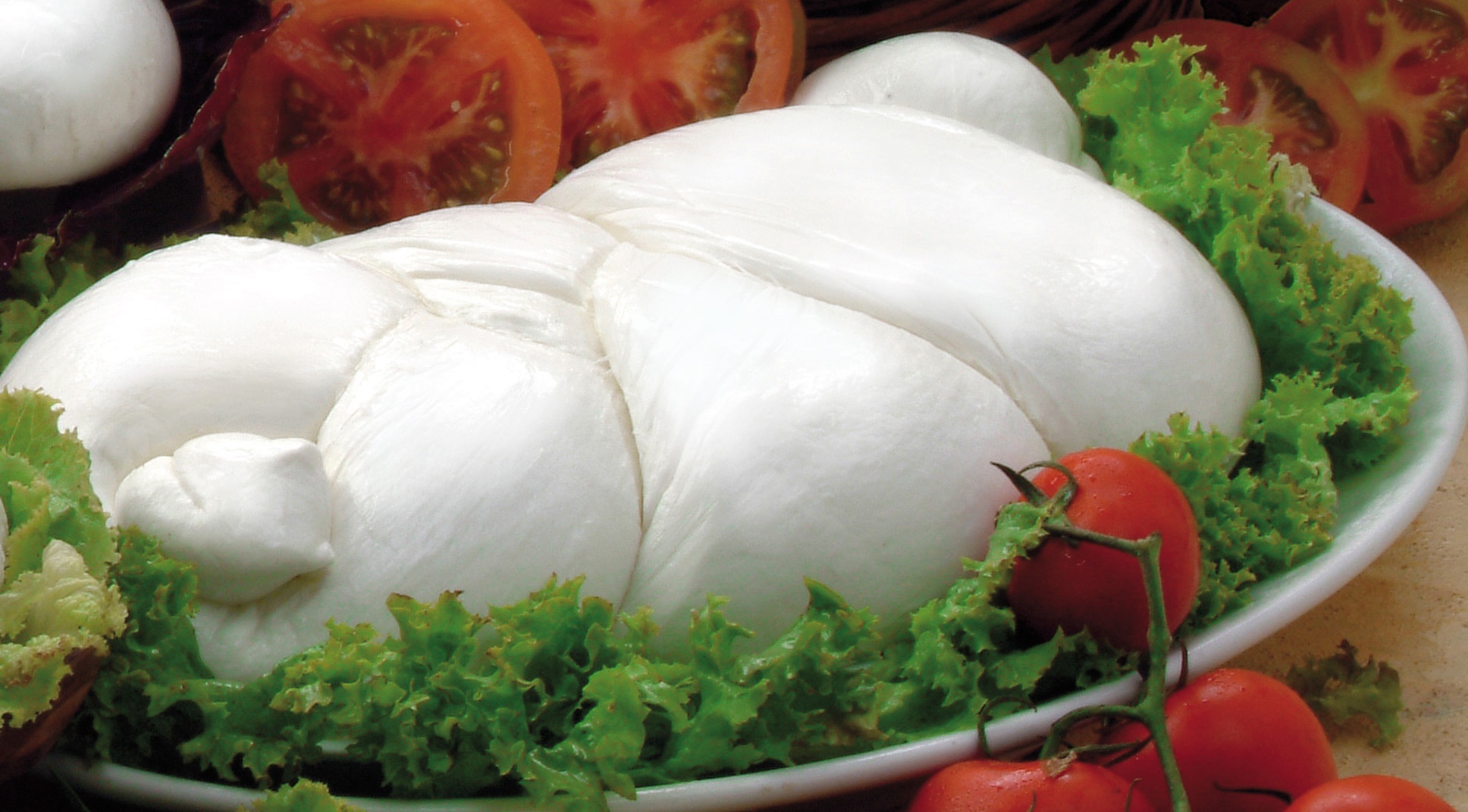 Latte freso per la mozzarella di Bufala Campana Dop