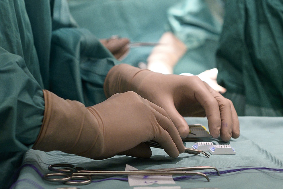 Fegato malato espiantato tenuto in vita al Bambino Gesù