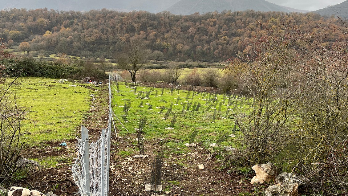 Le previsioni meteo favorevoli trainano la vacanza in agriturismo