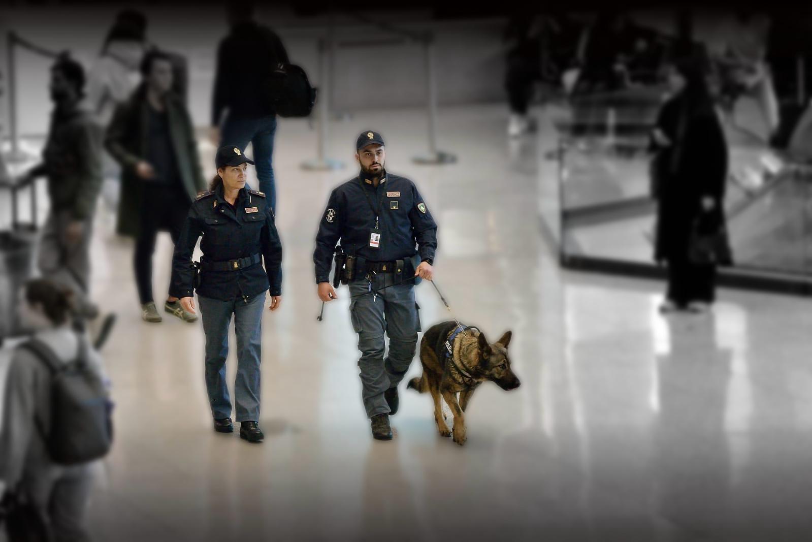 La Polizia di Frontiera Aerea di Fiumicino contro il trasporto abusivo