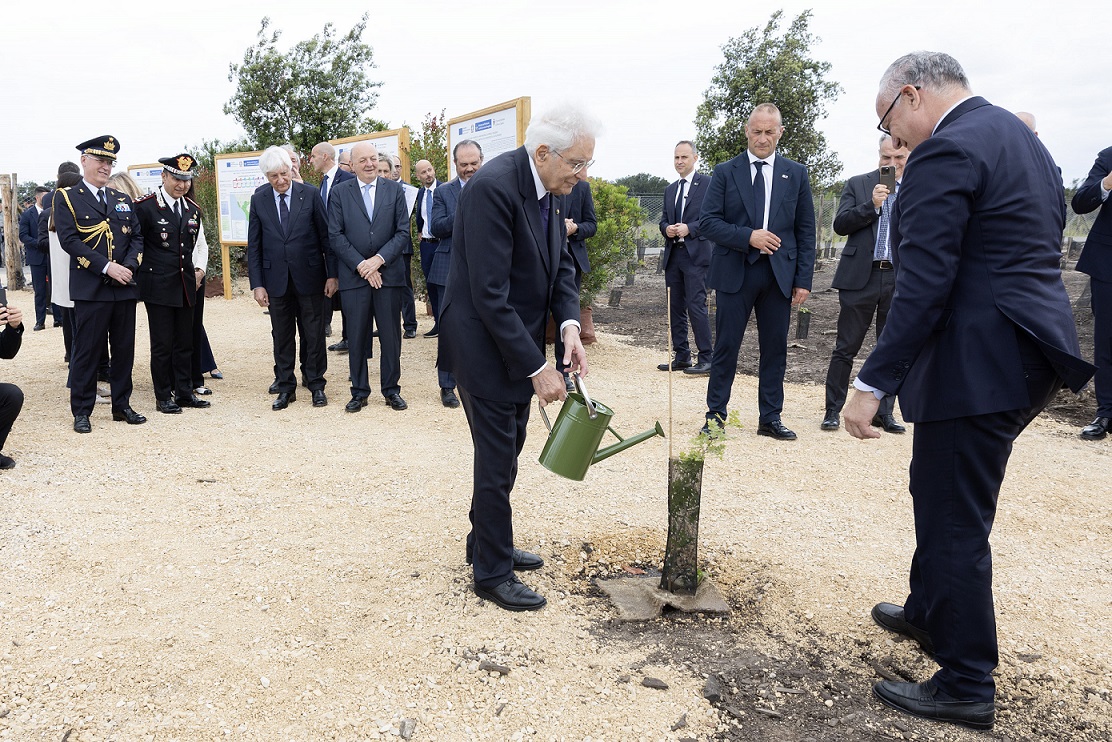 Alla Tenuta Presidenziale di Castelporziano l'inaugurazione del progetto di forestazione