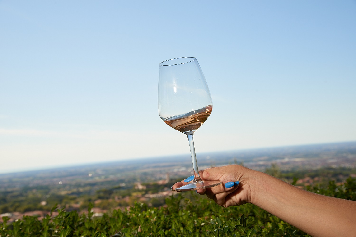 La Fiera del Vino a Montefiascone dal 1° al 14 agosto