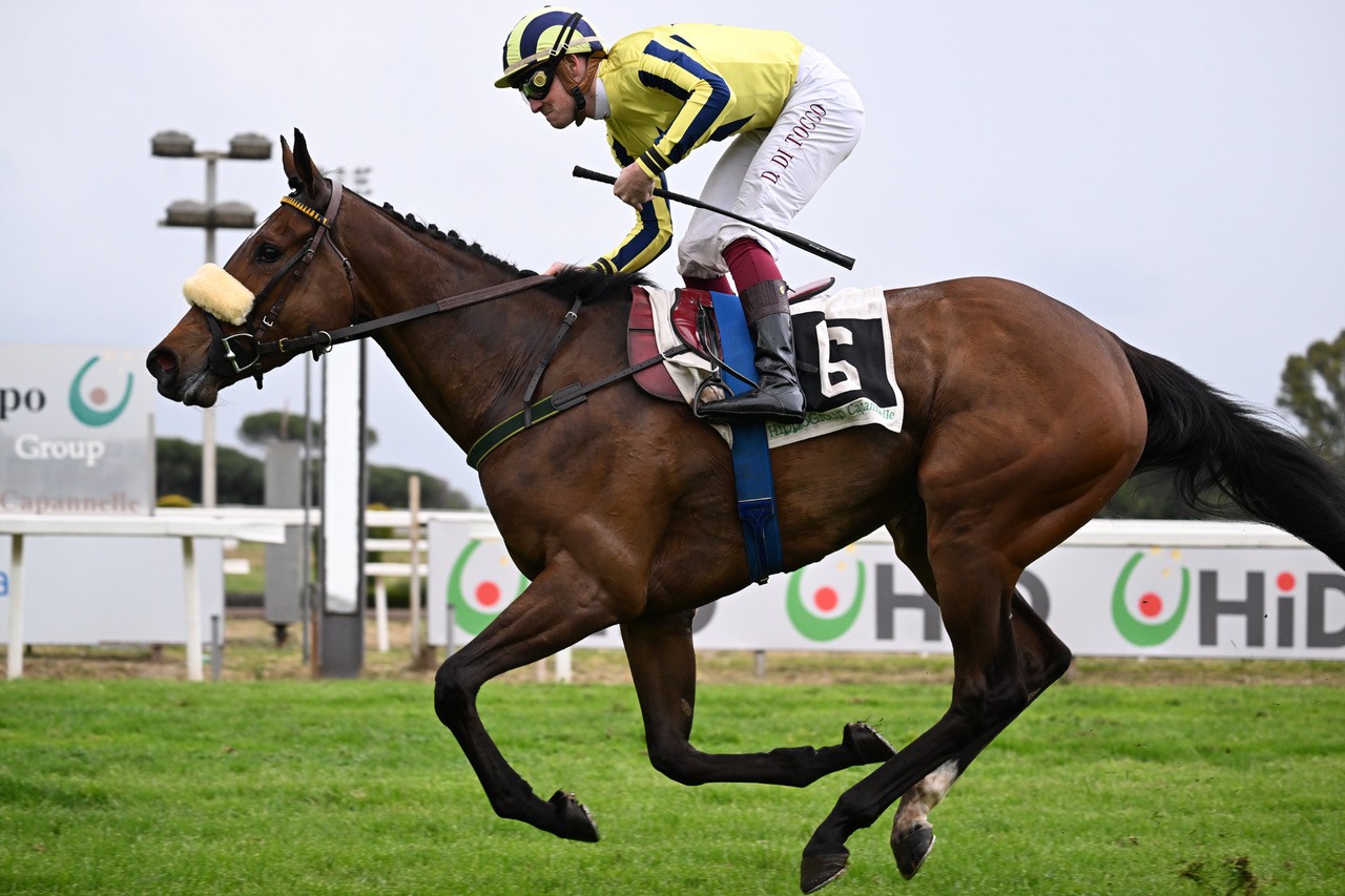L'Ippodromo Capannelle riapre le gabbie lunedì 1° settembre