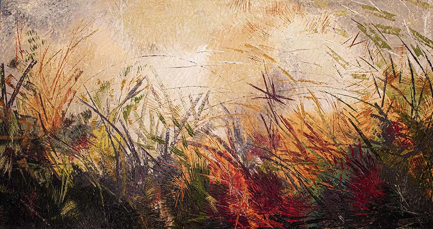 Al Museo Civico di Zoologia arriva Still Life