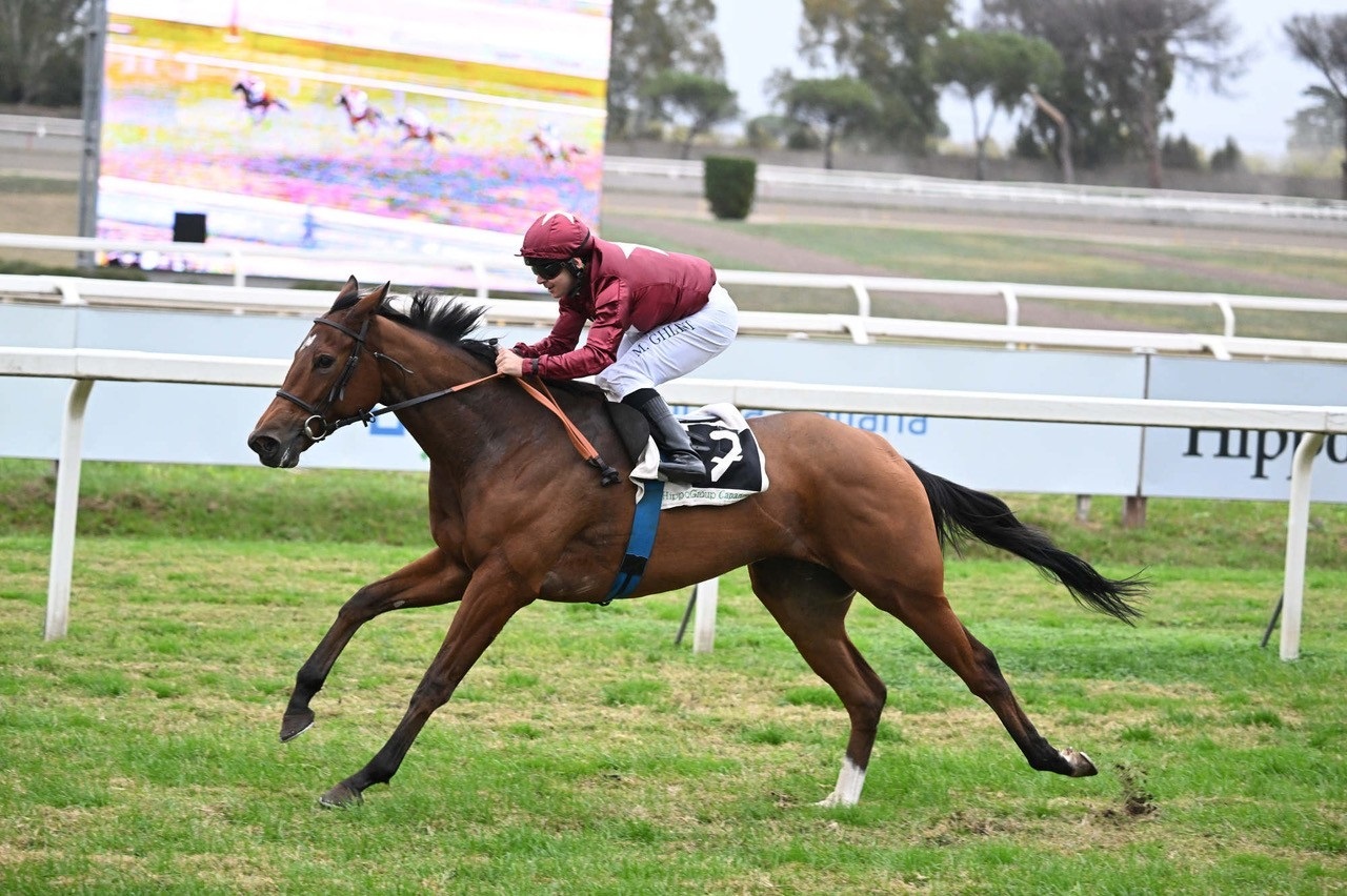 Nel grigio pomeriggio del Listed Race Day illumina Star of Life