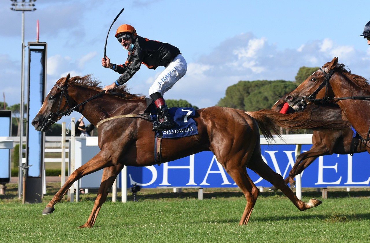 Ultima domenica dell'anno all'Ippodromo Capannelle