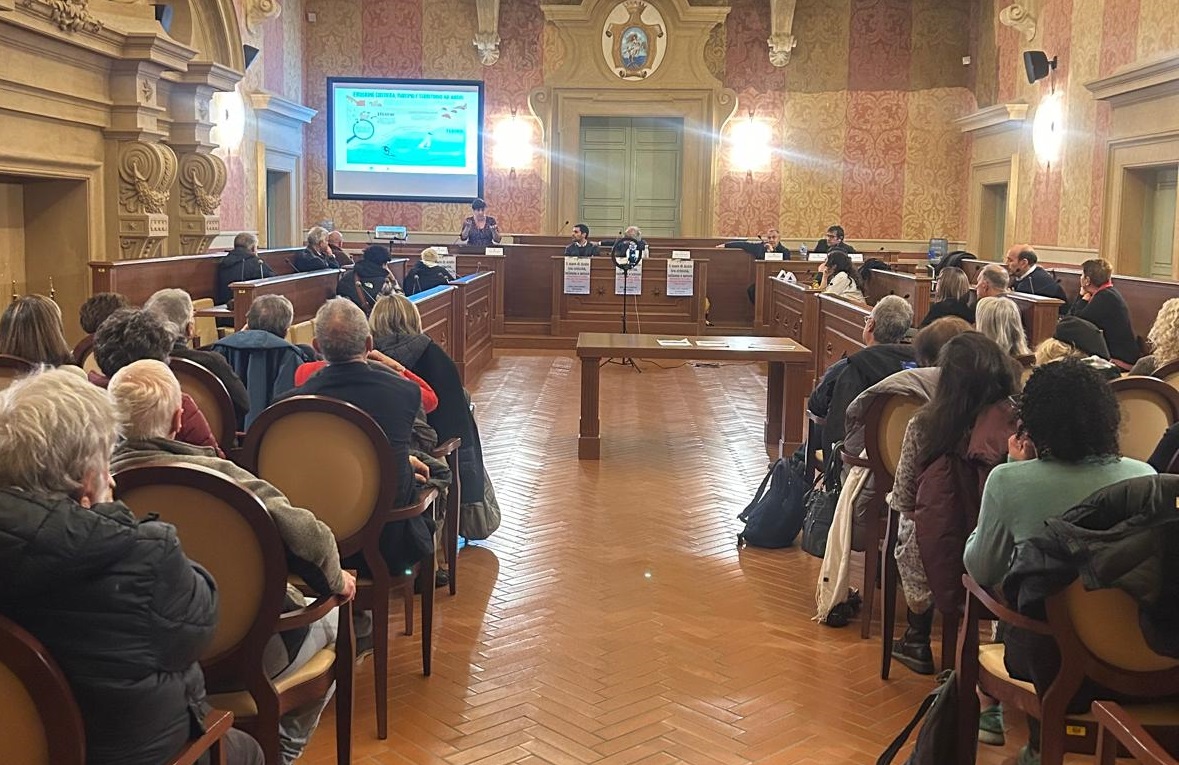 I risultati di Co>Sea Lab e il documentario “Sotto al mare” ad Anzio