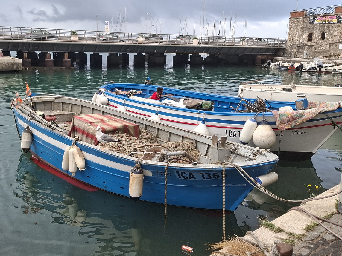 Copagri Lazio: "Nessuna riduzione delle giornate di pesca nel 2026"