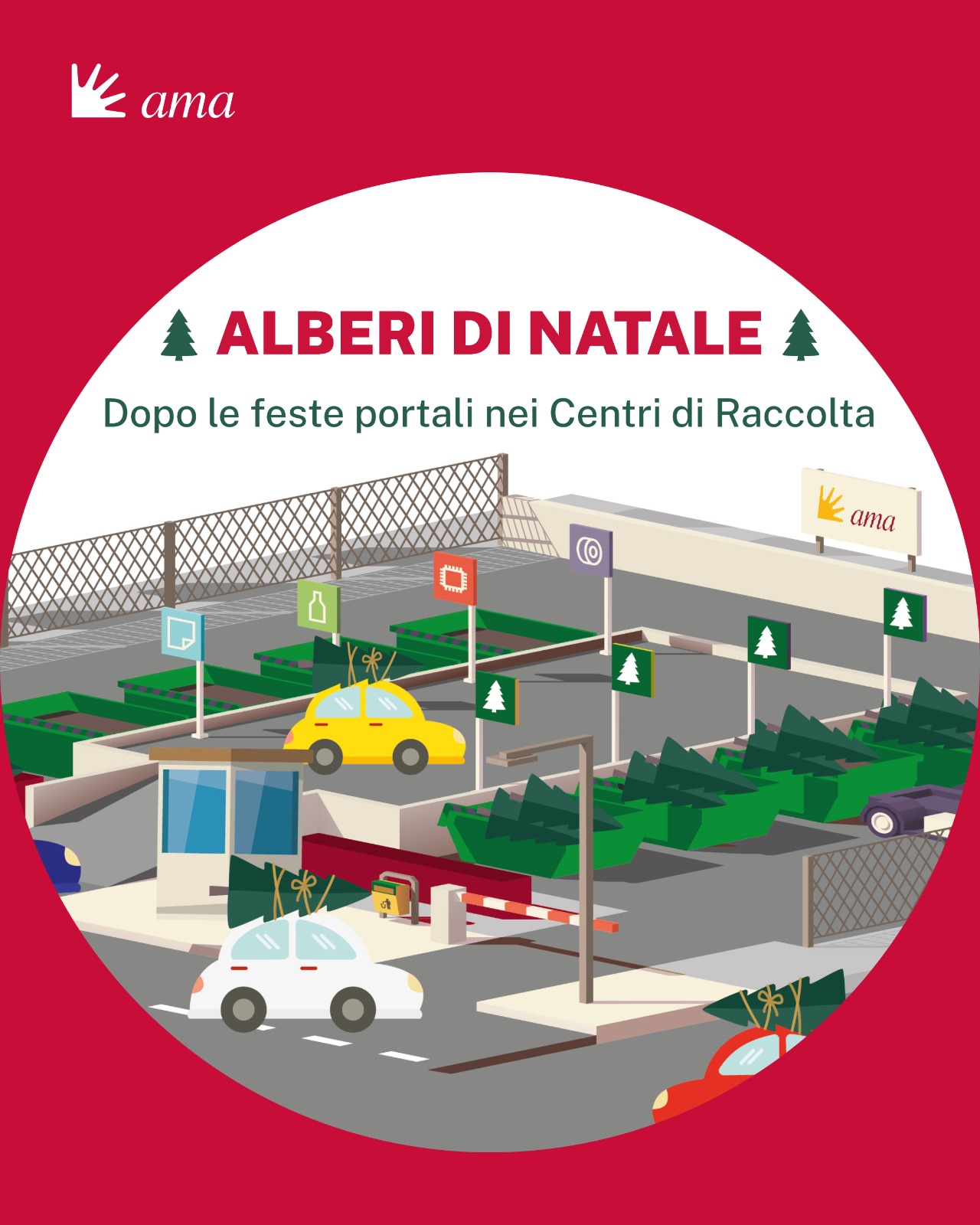 I romani possono restituire gli alberi di Natale naturali