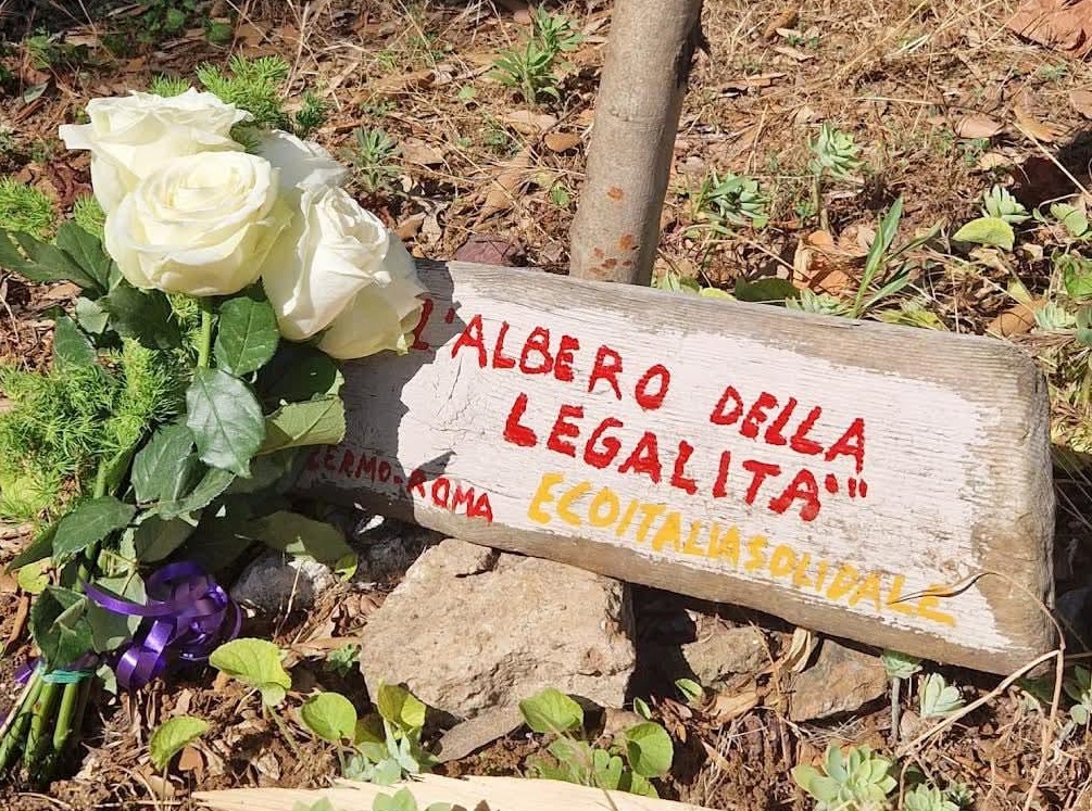 Sconcerto a Ostia Antica per il furto della targa dell’“Albero della Legalità”