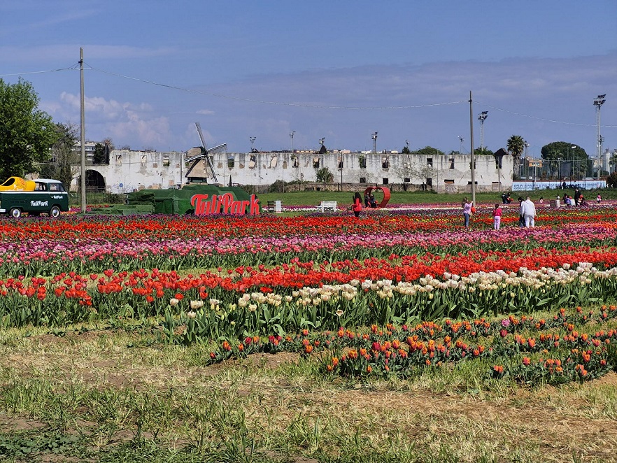 Il Tulipark in via Gordiani ha riaperto al pubblico