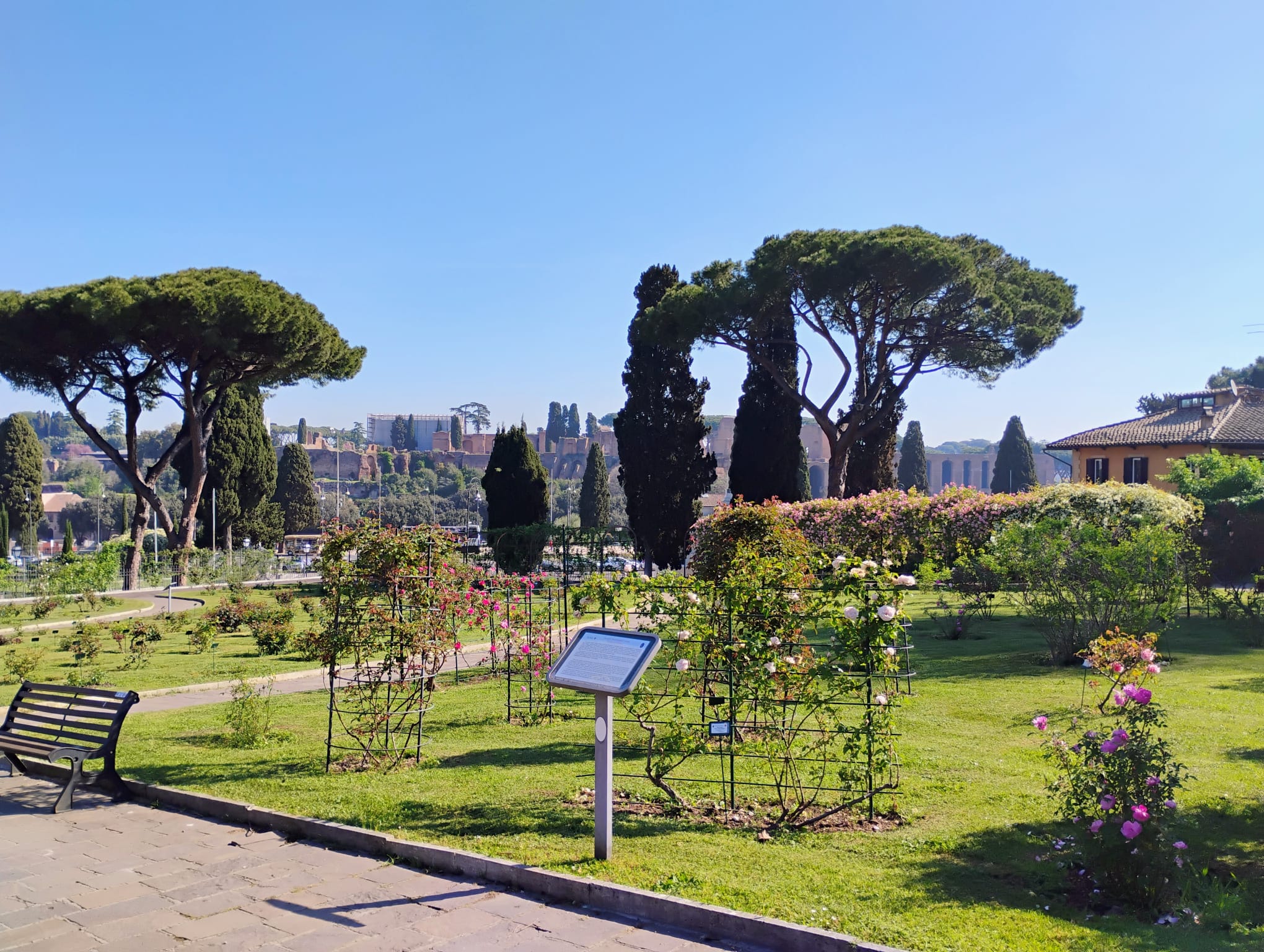 Al Roseto Comunale il Premio Roma per nuove varietà di rose