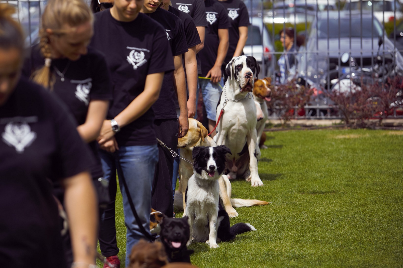 Il Dog Training torna a Castel Romano Designer Outlet