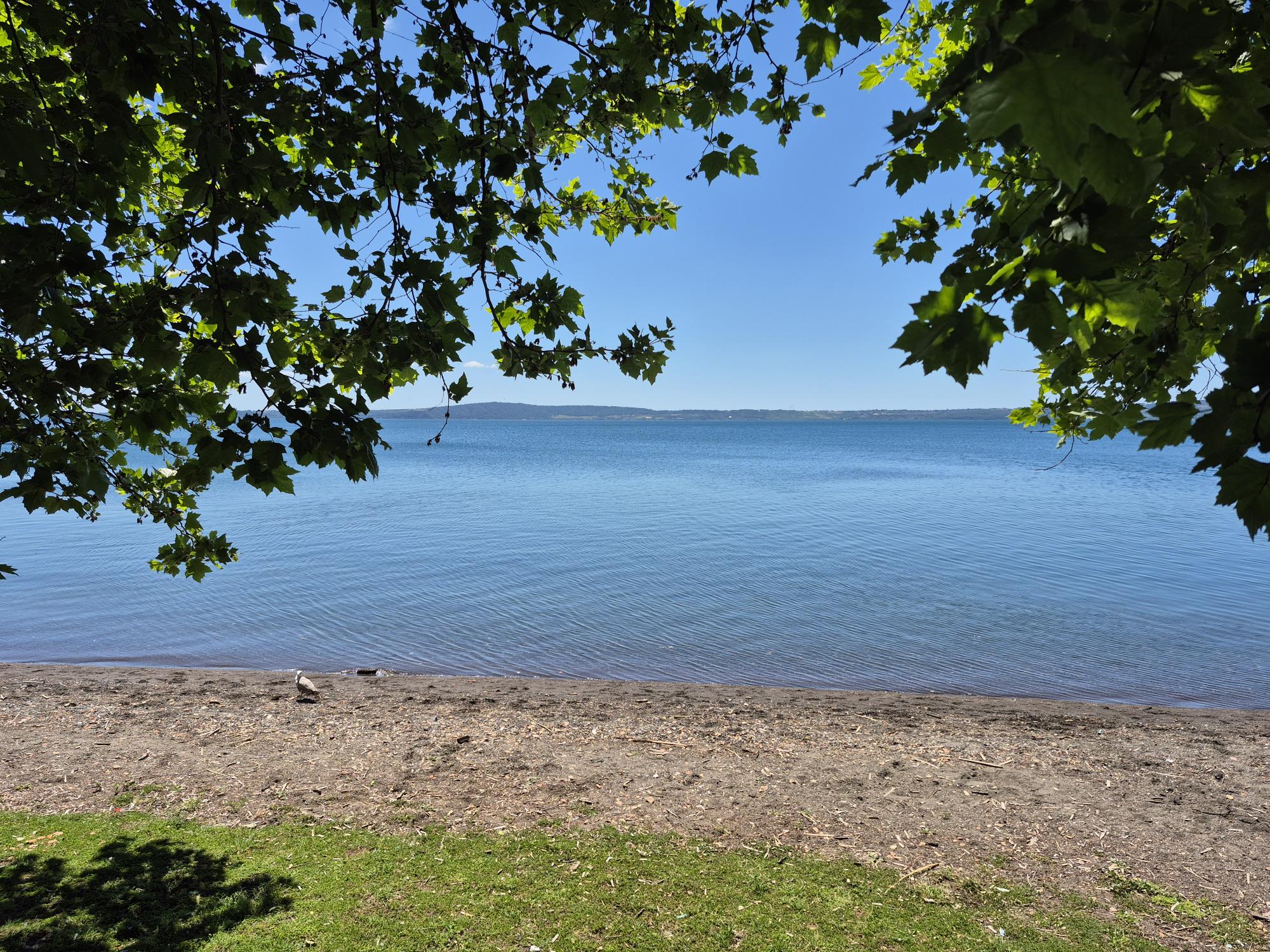 Tesori Naturali al Parco Bracciano-Martignano dal 6 giugno